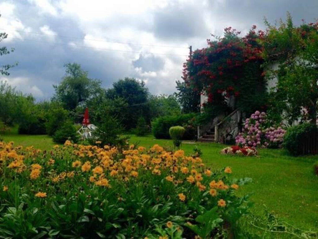 whatsapp görsel 2025 12 12 saat 17.33.11 39c4a203