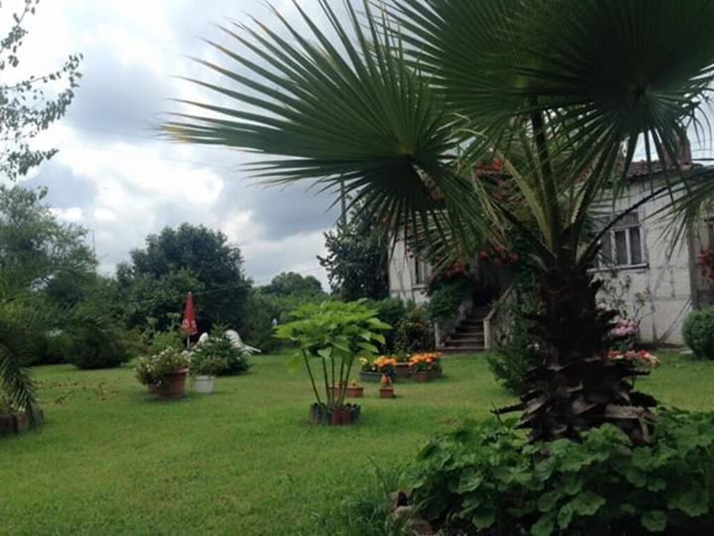 whatsapp görsel 2025 12 12 saat 17.33.11 a420d5e8